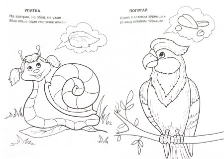 Обитатели живого уголка