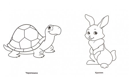 Кто где живет задание для дошкольников