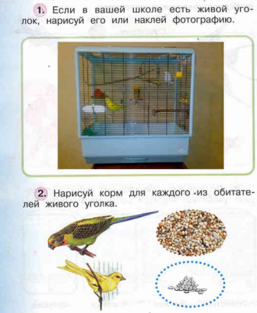 Рыбы для дошкольников