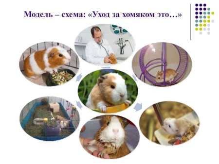 Попугай в клетке раскраска для детей