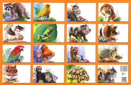 Раскраска хомячок в клетке