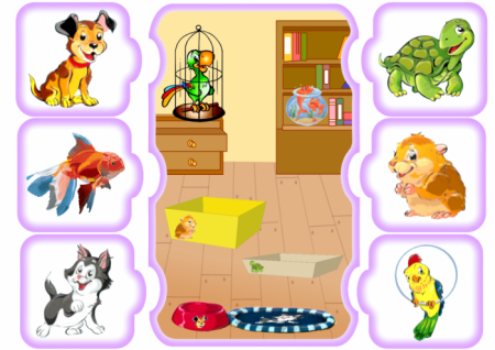 Питомцы живого уголка