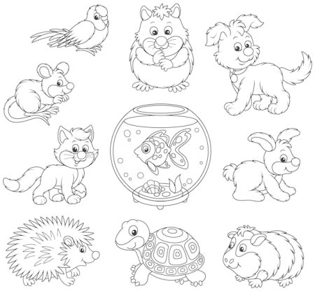 Животные живого уголка