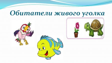 Обитатели живого уголка