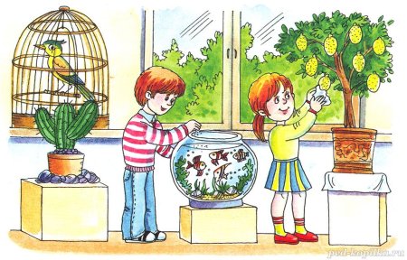 Живой уголок Драгунский