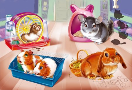 Живой уголок в школе раскраска