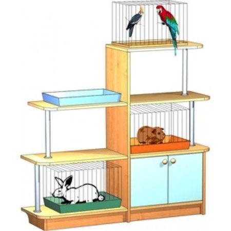 Живой уголок раскраска