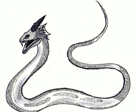 Рисунок василиска из Гарри Поттера