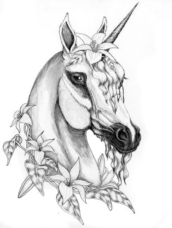 Эскизы рисунков