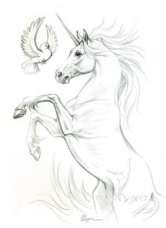 Единорог карандашом