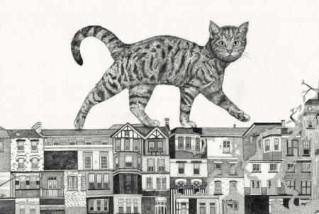 Кошка Графика