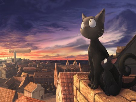 Котики на крыше