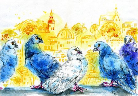Городские голуби живопись
