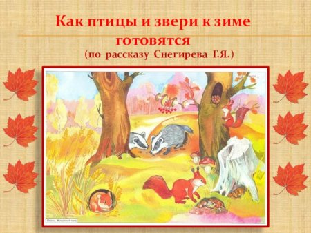 Звери готовятся к зиме