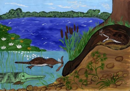 Рисунок на тему водоемы