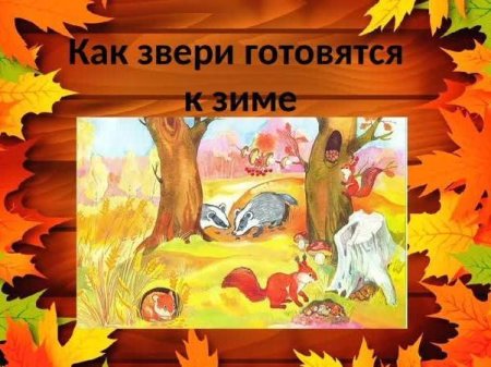 Как животные готовятся к зиме