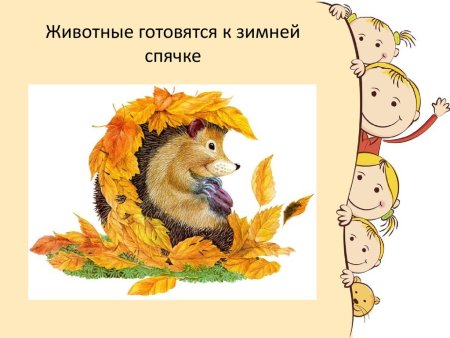 Животные осенью для детского сада