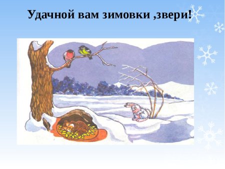 Лесные звери готовятся к зиме