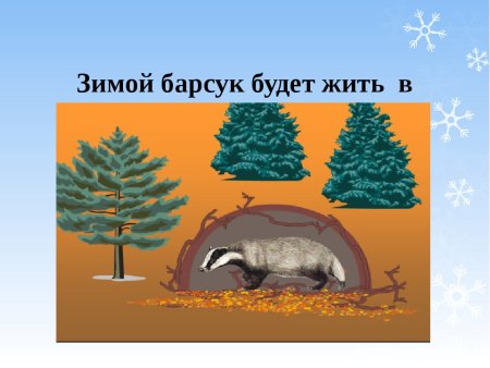 Медведь зимой в берлоге