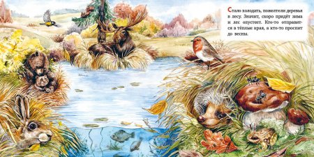 Рисование белки в старшей группе