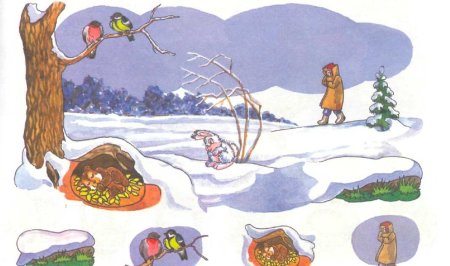 Птицы и животные готовятся к зиме