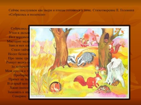 Животные готовятся к зиме