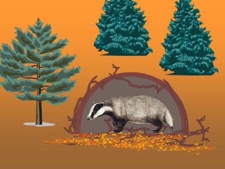 Дикие животные готовятся к зиме