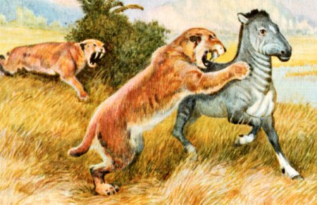 Хищничество рисунок