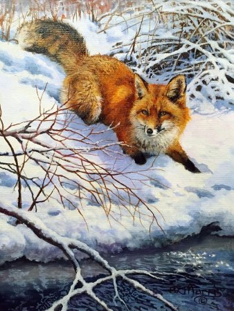 Художник .Бонни Маррис (Bonnie Marris)