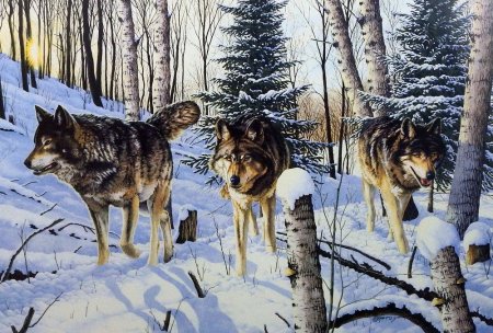 Зимний пейзаж с волками