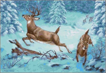 Олень бежит в лесу