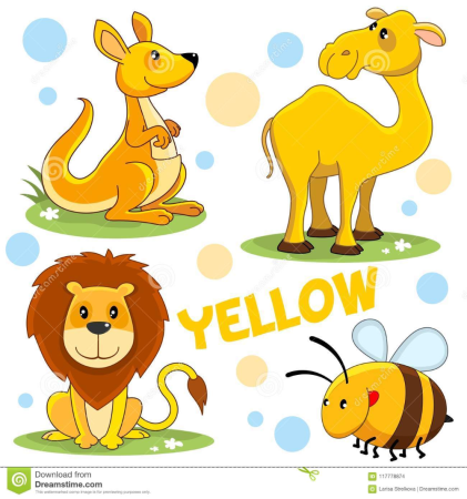 Кенгуру Льва для детей