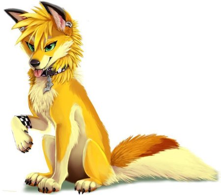 Желтая лиса