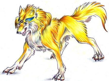 Жёлтый волк аниме