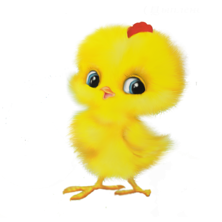 Цыпленок для детей