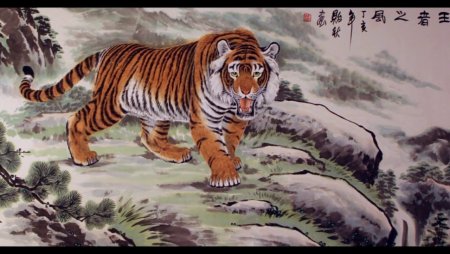 Тигр китайская Графика