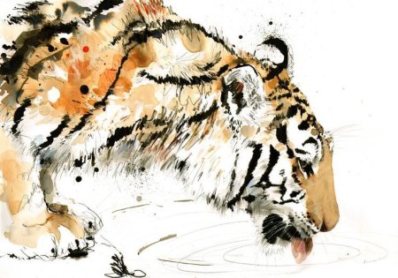 Художник Lucy Newton