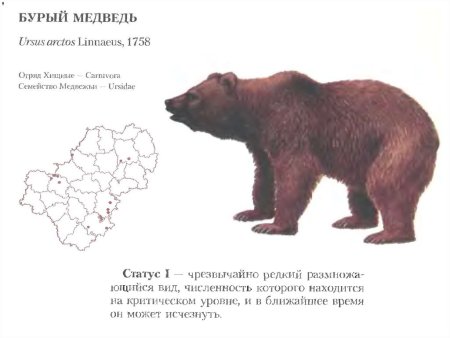 Растения и животные Калужской области занесенные в красную книгу