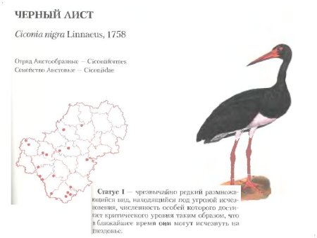 Животные Калужской области занесенные в красную