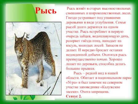 Животные Калужской области занесенные в красную книгу