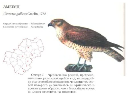 Животные Калужской области занесенные в красную книгу