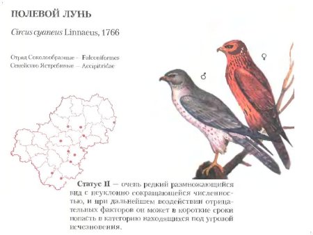 Растения и животные Калужской области занесенные в красную книгу