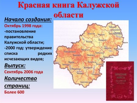 Животное красной книги Калужской области