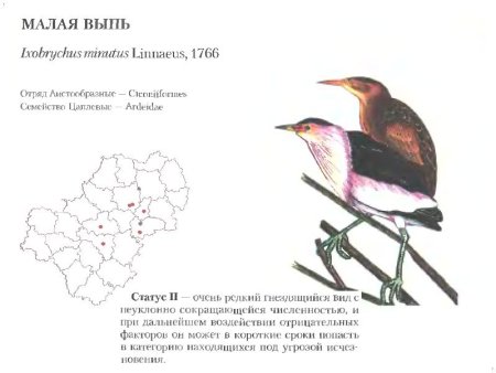 Растения и животные Калужской области занесенные в красную книгу