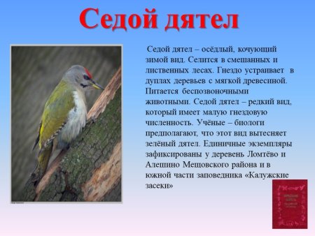 Животные Калужской области занесенные в красную