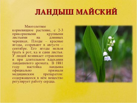 Красная книга Калужской области книга