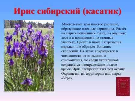 Красная книга Калужской области