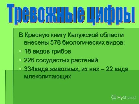 Каменная куница красная книга Калужской области
