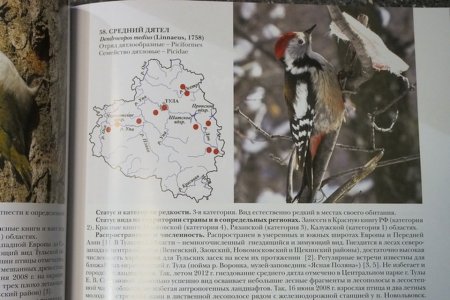 Животные Калужского края