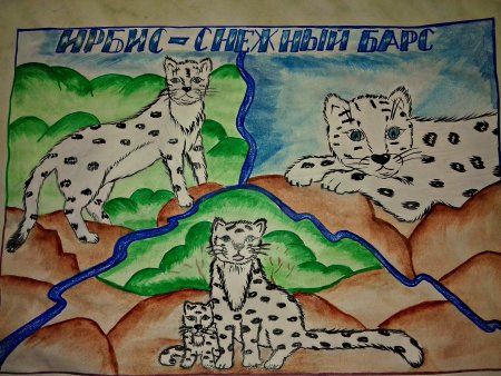 Рисунки на тему красная книга России